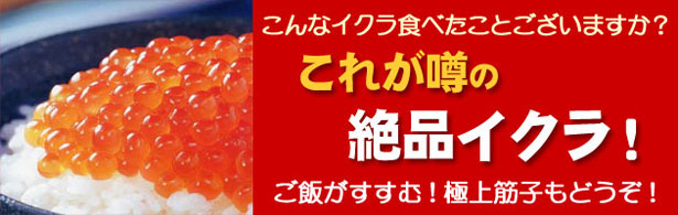 ◆北海道一番人気のブランドいくら醤油漬け！/筋子