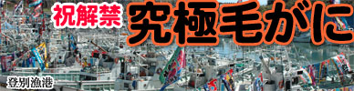 一年で一番甘い身と濃厚みそ。登別産毛がにが解禁になりました。