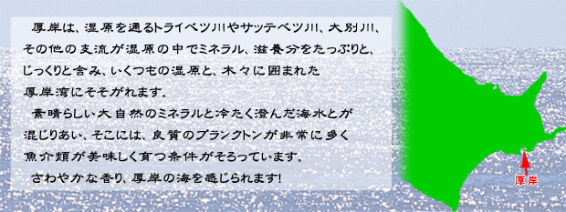 厚岸は、湿原を通るトライベツ川やサッテベツ川、大別川、その他の支流が湿原の中でミネラル、滋養分をたっぷりと、じっくりと含み、いくつもの湿原と、木々に囲まれた厚岸湾にそそがれます。厚岸は、湿原を通るトライベツ川やサッテベツ川、大別川、その他の支流が湿原の中でミネラル、滋養分をたっぷりと、じっくりと含み、いくつもの湿原と、木々に囲まれた厚岸湾にそそがれます。