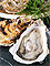 北海道産活ホタテ、真つぶ、ほっき、厚岸産牡蠣貝