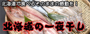 �k�C���̈�銱