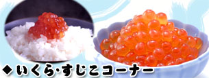 ������E�؎q�R�[�i�[