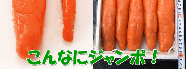 このぶっといたら子
