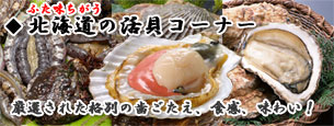 �k�C���̊L�I