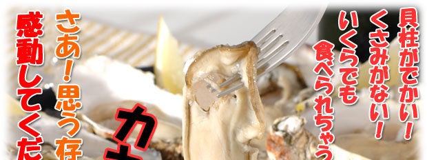 ◆【純】厚岸産・活牡蠣“カキえもん”