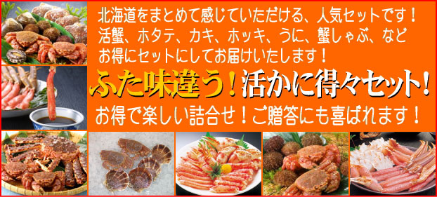�k�C���X���ɃZ�b�g�I