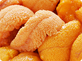 �C�ӂŊl�����E�j����ŃR�c�R�c�����Ă��ׂ�悤�ȋC���ɂȂ����Ⴂ�܂��I��̕����������ō��ł��I