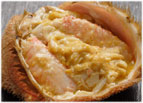 �k�C��������Y ���т���