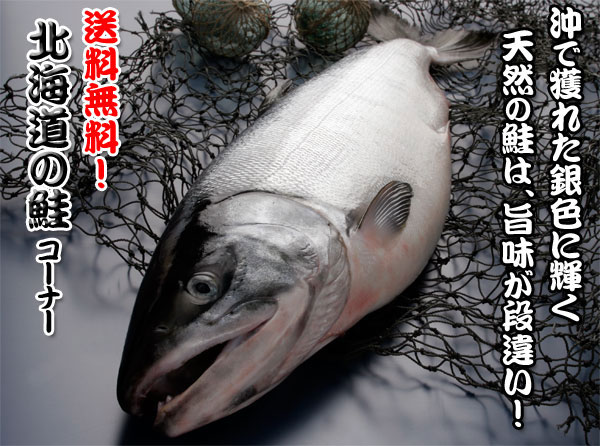 【送料無料】最高級北海道の天然鮭特集！