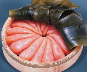 ���c���Y�y���z�Տ�l�Y�Ì����炱