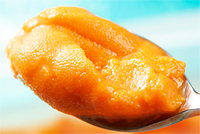 �k�C���̒Z���Č���I���K�當���Y�C���G�]�o�t���E�j