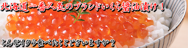 北海道一番人気のブランドいくら醤油漬け！/筋子